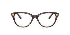 Trendy Glasses